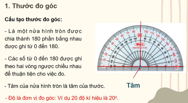 Toan 6 C8 Bai 7 5*930939