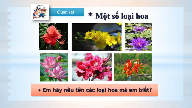 Mi thuat 1 Chu de 7 3*931779