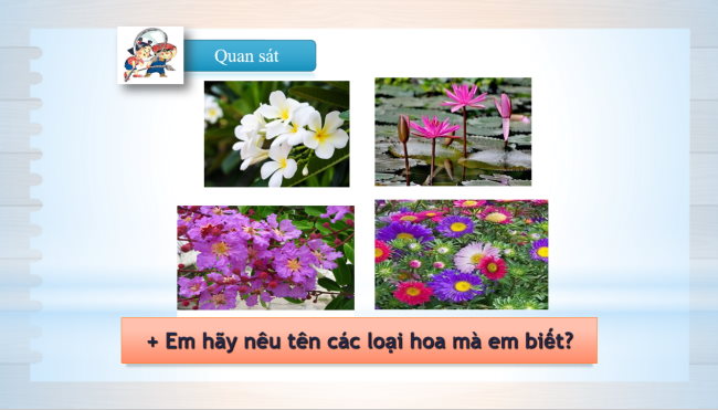 Mi thuat 1 Chu de 7 4*931773