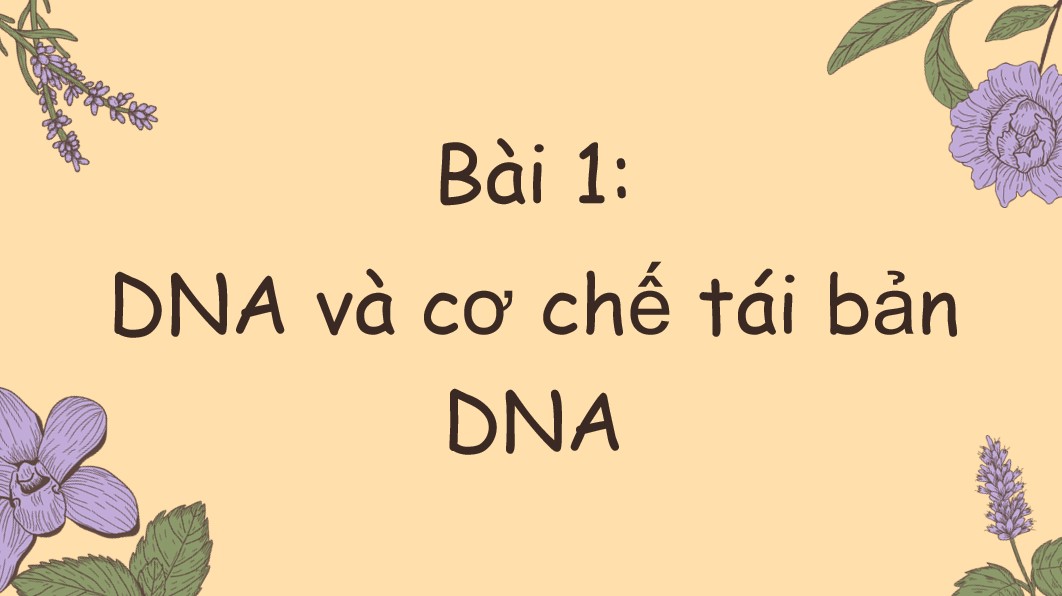 tro choi khoi dong sinh hoc 12 bai 1 1*931193