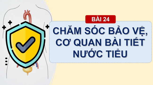 TNXH 2 Bai 24 3*932917