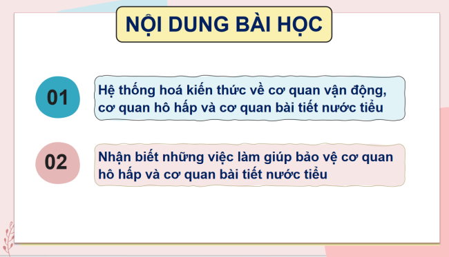 TNXH 2 Bai 25 5*932927