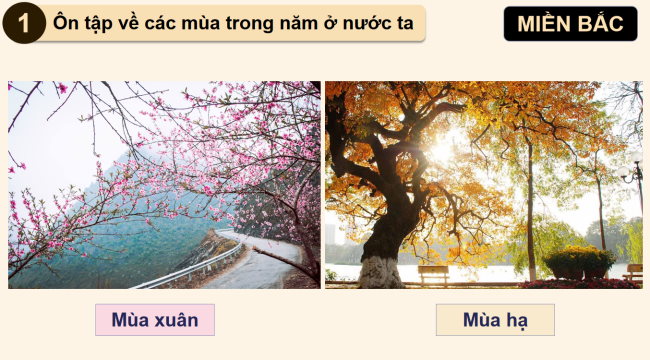 TNXH 2 Bai 29 6*932958