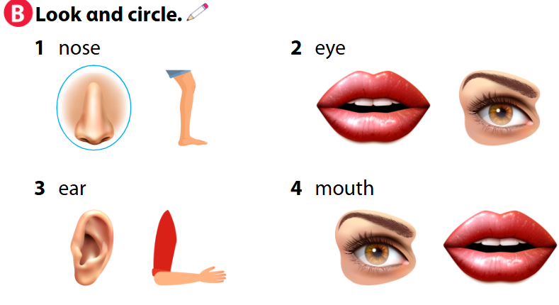 Tiếng Anh lớp 1 Wonderful World Unit 10 Lesson 6 minh họa 1