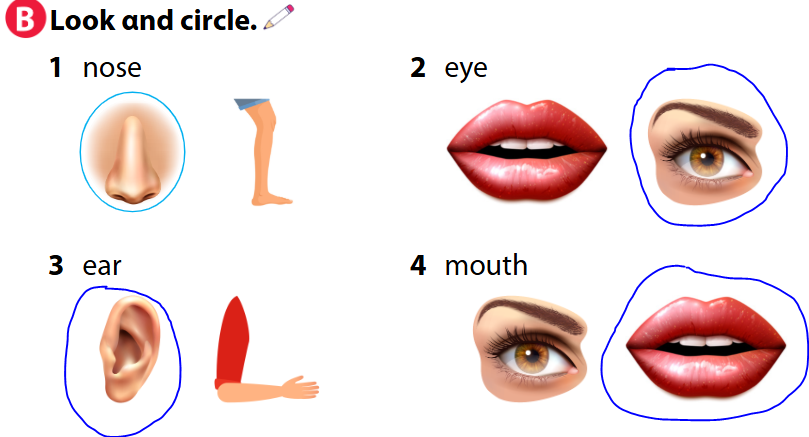 Tiếng Anh lớp 1 Wonderful World Unit 10 Lesson 6 minh họa 2