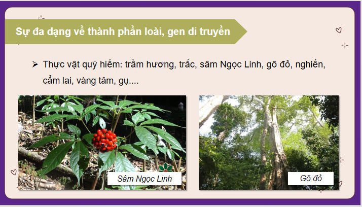Sinh vật Việt Nam