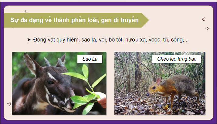 Sinh vật Việt Nam