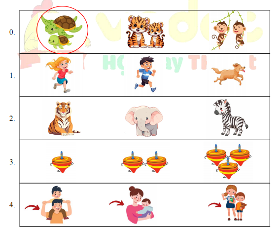 Đề thi Tiếng Anh lớp 1 học kì 2 sách Global Success minh họa 2