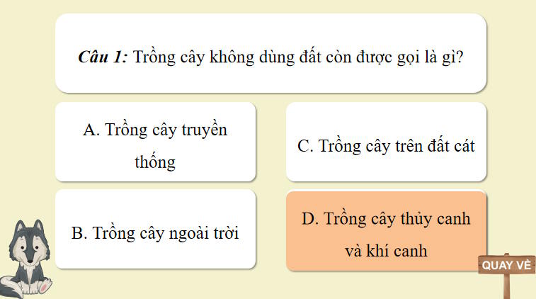 Cong nghe 10 Bai 25 4*937376