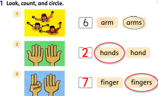 SBT Tiếng Anh 1 Family and Friends Unit 5 Lesson 2 minh hoạ 2