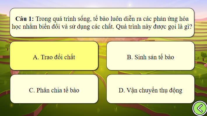 Bai 10 Sinh hoc 10 4*938260
