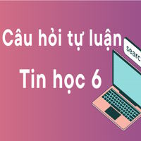 Câu hỏi tự luận Tin học 6 - Bài 3: Thông tin trong máy tính