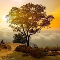 Game khởi động Lịch sử - Địa lí 4 Bài 24: Thiên nhiên vùng Nam Bộ