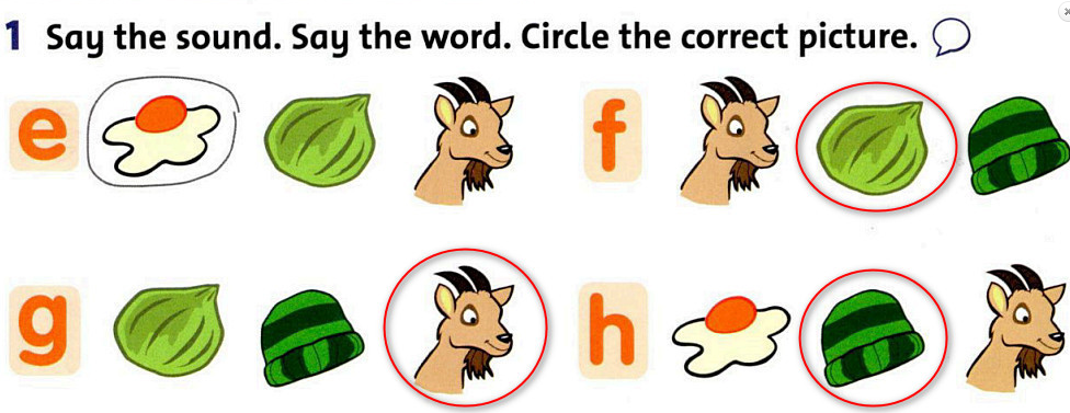 SBT Tiếng Anh 1 Family and Friends Unit 5 Lesson 5 minh họa 2