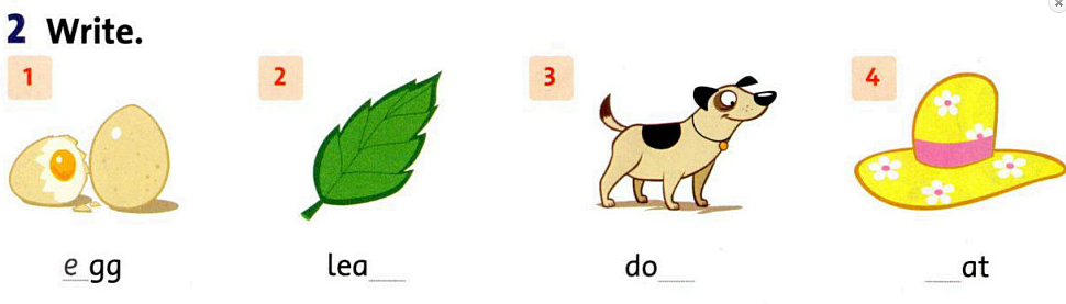 SBT Tiếng Anh 1 Family and Friends Unit 5 Lesson 5 minh họa 3