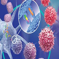 Game khởi động Sinh học 10 Bài 26: Thực hành điều tra một số bệnh do virus và tuyên truyền phòng chống bệnh
