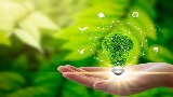 Game khởi động Công nghệ 9 Bài 7: Một số ngành nghề liên quan đến lắp đặt mạng điện trong nhà 