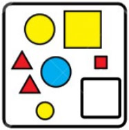 Câu 7