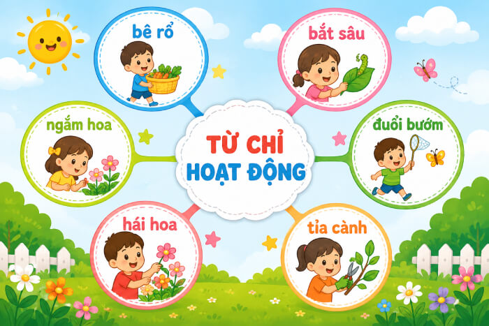 Từ chỉ hoạt động, trạng thái