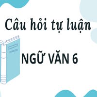 Câu hỏi tự luận Ngữ Văn 6 - Bài 1: Thực hành Tiếng Việt trang 20