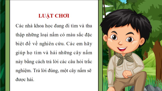 Tin hoc 6 Bai 4 2*942964
