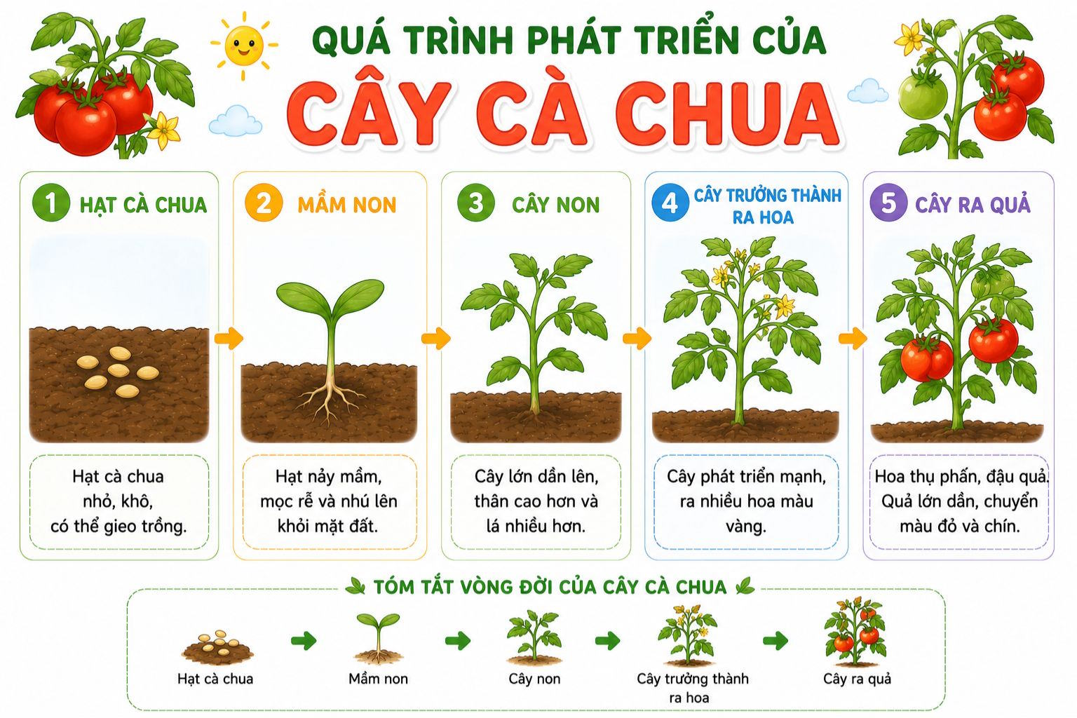 dong vat 3*944793
