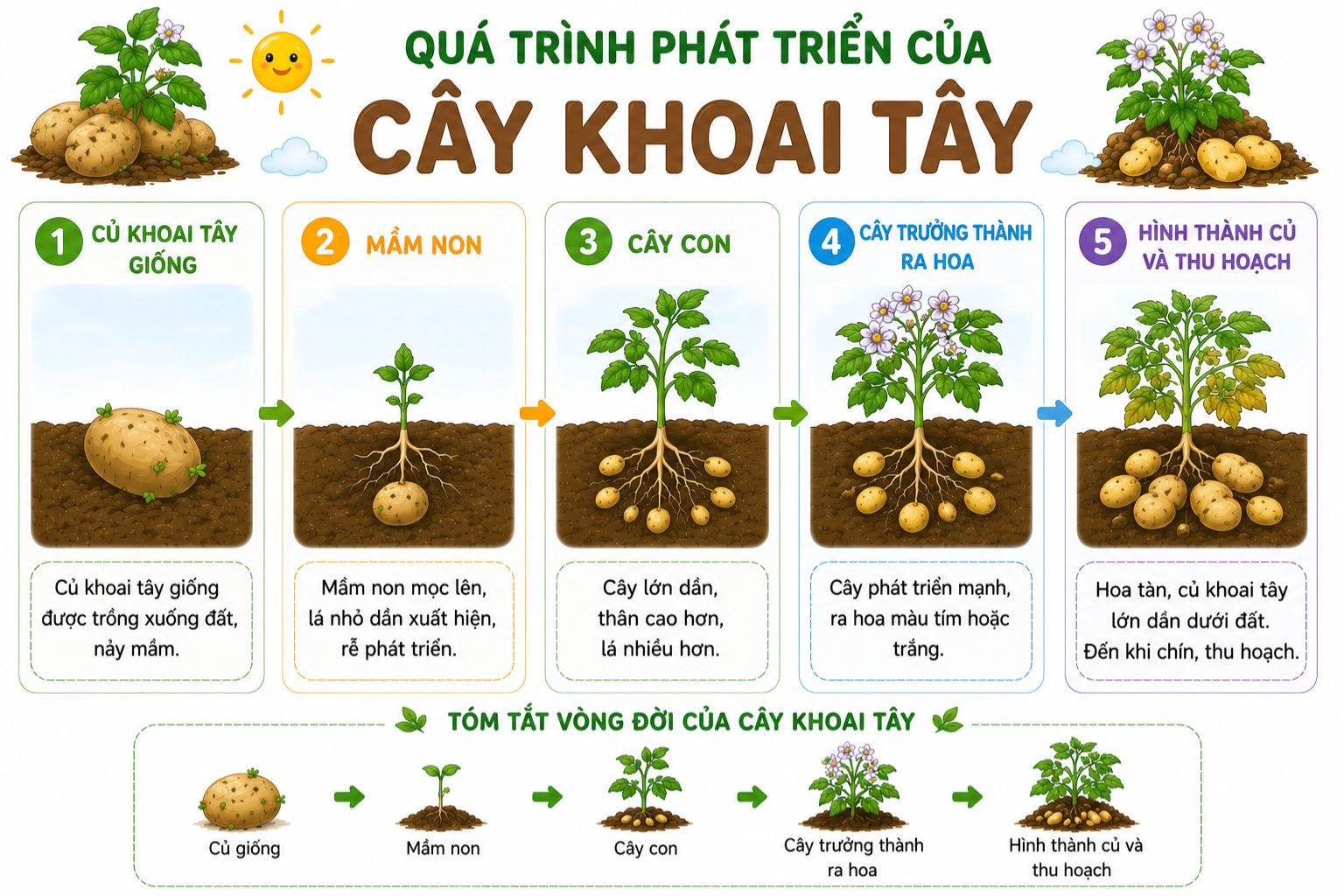 dong vat 4*944794