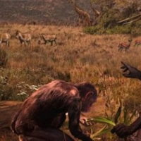 Game khởi động Lịch sử 6 Bài 4: Nguồn gốc loài người