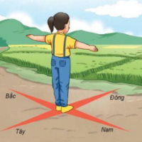 Game khởi động Địa lí 6 Bài 9: Xác định phương hướng ngoài thực địa