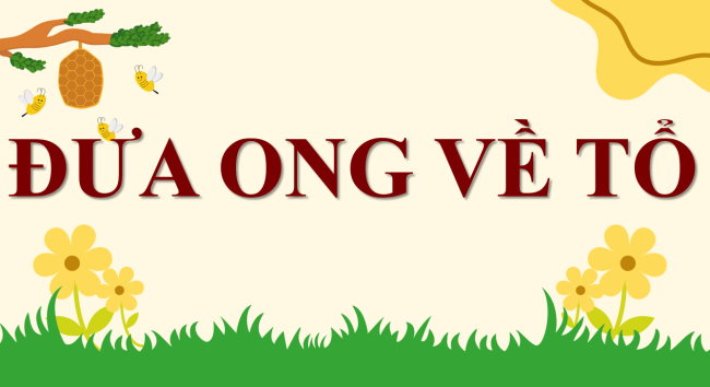 Dia li 6 Bai mo dau 1*945673