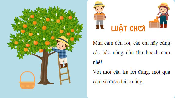 Toan 8 Bai 13 2*947222