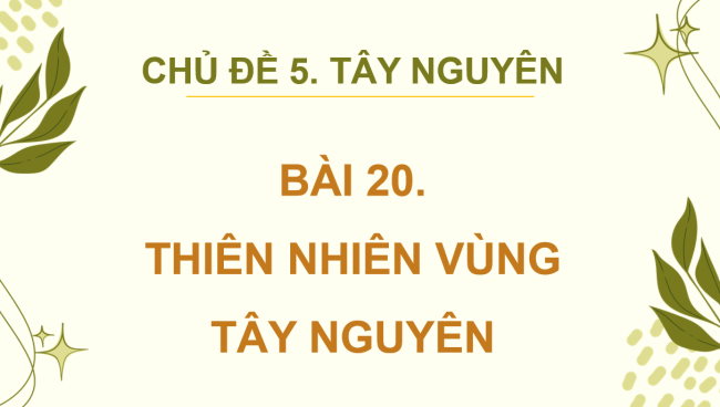 LS DL 4 Bai 20 4*949964