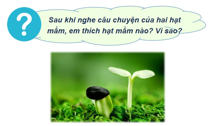 Dao Duc 2 HK2 5*951304