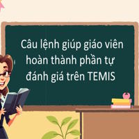 Câu lệnh giúp giáo viên hoàn thành phần tự đánh giá trên TEMIS nhanh chóng