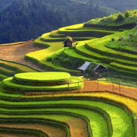 Giáo án Lịch sử - Địa lí 4 Bài 4: Thiên nhiên vùng Trung du và miền núi Bắc Bộ
