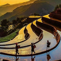Giáo án Lịch sử - Địa lí 4 Bài 5: Dân cư và hoạt động sản xuất ở vùng Trung du và miền núi Bắc Bộ