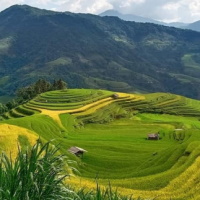 Game khởi động Lịch sử - Địa lí 4 Bài 5: Dân cư và hoạt động sản xuất ở vùng Trung du và miền núi Bắc Bộ