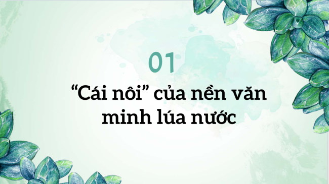 Lich su 6 bai 11 3*952516