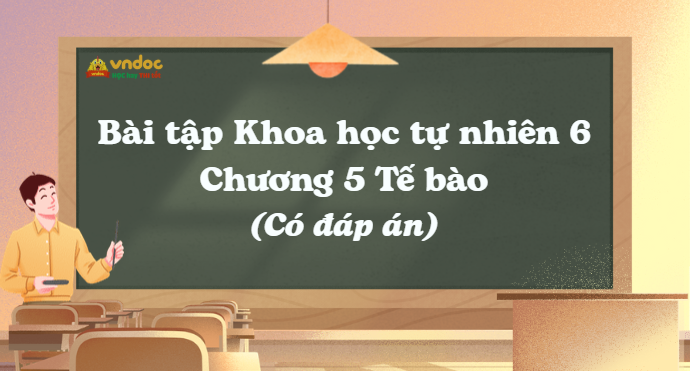 Bài tập Khoa học tự nhiên 6 Chương 5 Tế bào