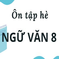 Ôn tập hè: Biệt ngữ xã hội, từ tượng hình từ tượng thanh, đảo ngữ