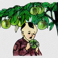Truyện cổ tích: Sự tích cây vú sữa