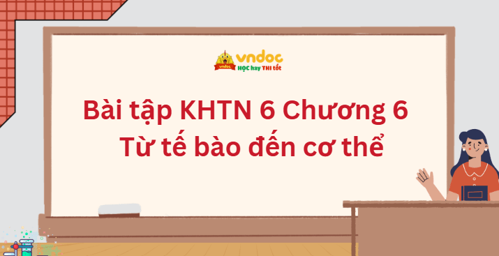 Bài tập Khoa học tự nhiên 6 Chương 6 Từ tế bào đến cơ thể