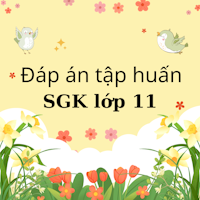 Đáp án trắc nghiệm tập huấn Toán lớp 11 năm học 2026 - 2027