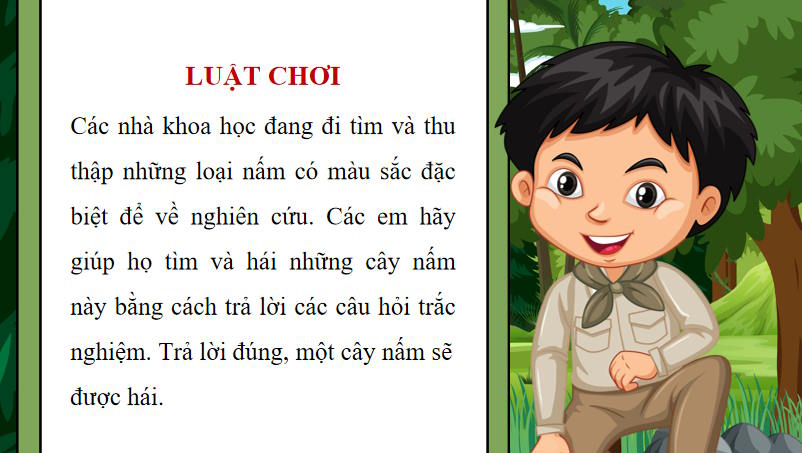 Tin hoc 10 Bai 31 2*955911