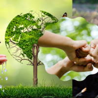 Game khởi động Địa lí 6 Bài 29: Bảo vệ tự nhiên và khai thác thông minh các tài nguyên thiên nhiên vì sự phát triển bền vững
