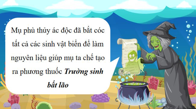 Bai 1 Viet bai van 2*958335
