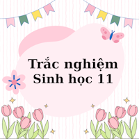 Khóa học Sinh 11