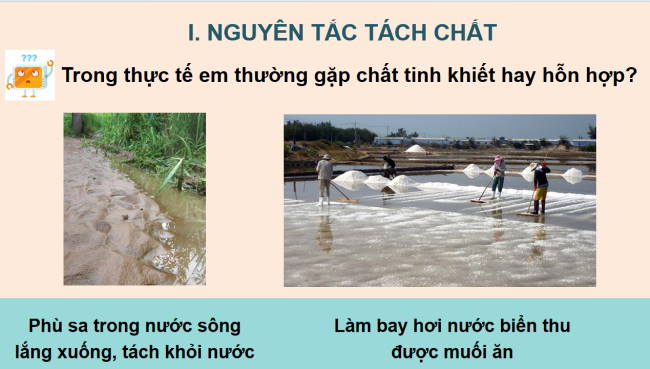 KHTN 6 Bai 17 5*960381