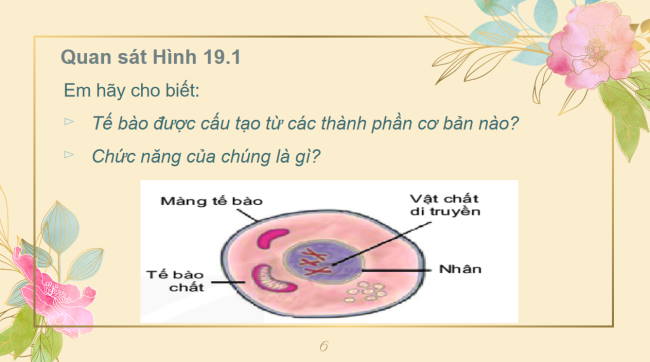 KHTN 6 Bai 19 6*960388