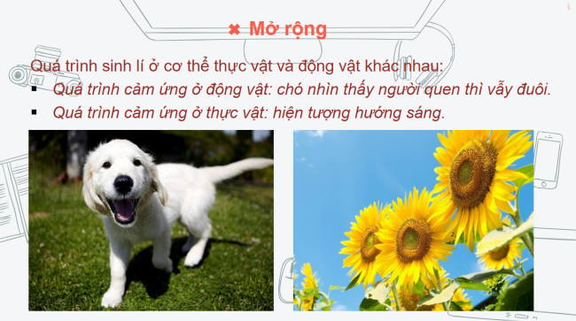 KHTN 6 Bai 22 6*961685